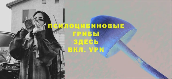 соль курить ск Алексеевка