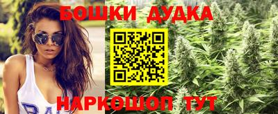 молекула духа Апшеронск
