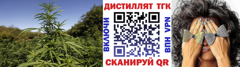 Дистиллят ТГК THC oil  гидра онион  Аргун 