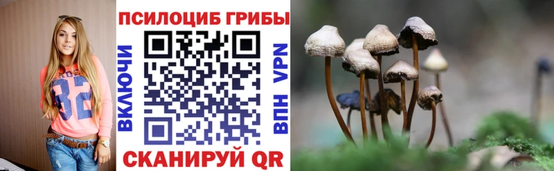 kraken ТОР что такое Аргун Галлюциногенные грибы мухоморы