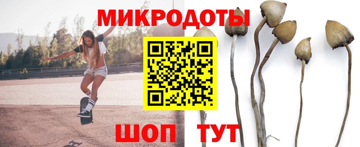 Псилоцибиновые грибы GOLDEN TEACHER  Псилоцибиновые грибы Magic Shrooms  Аргун  Вход с VPN 