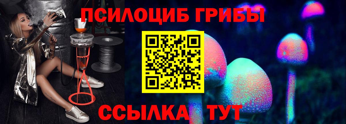 Псилоцибиновые грибы GOLDEN TEACHER Аргун